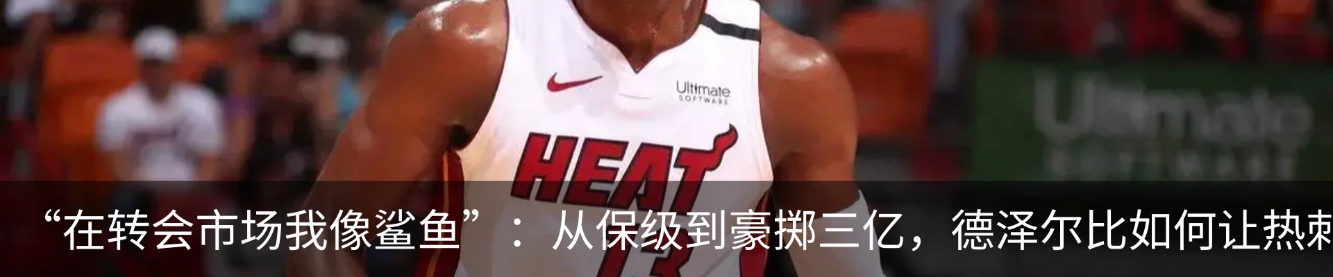 最新动态